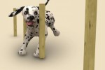 Petz Sports: Dog Playground (Wii)