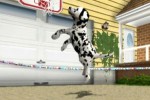 Petz Sports: Dog Playground (Wii)