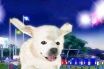 Petz Sports: Dog Playground (Wii)