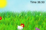 Catching Catty (iPhone/iPod)