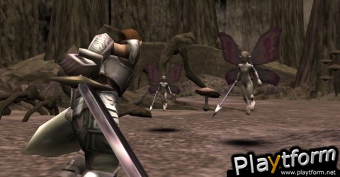 Valhalla Knights 2 (PSP)