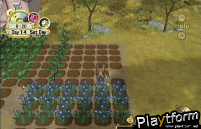 Harvest Moon: Tree of Tranquility (Wii)