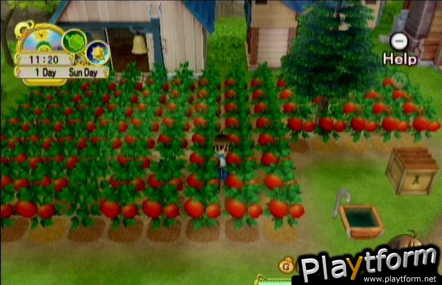 Harvest Moon: Tree of Tranquility (Wii)