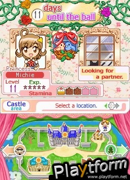 Princess Debut (DS)