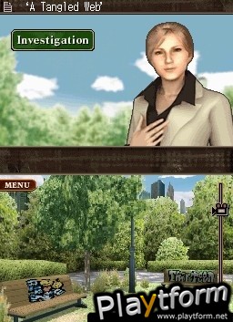 Unsolved Crimes (DS)