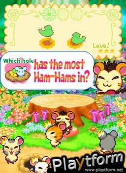 Hamtaro Ham-Ham Challenge (DS)