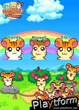 Hamtaro Ham-Ham Challenge (DS)