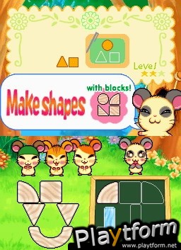 Hamtaro Ham-Ham Challenge (DS)