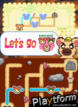 Hamtaro Ham-Ham Challenge (DS)