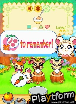 Hamtaro Ham-Ham Challenge (DS)