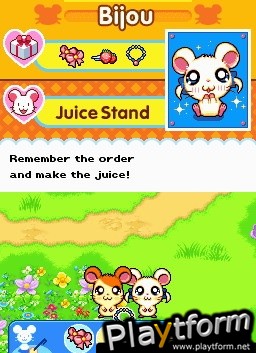 Hamtaro Ham-Ham Challenge (DS)