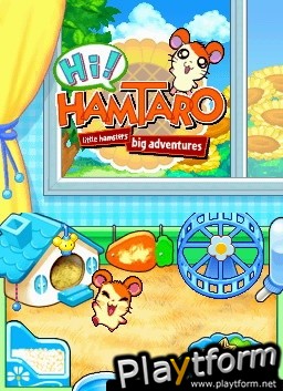 Hamtaro Ham-Ham Challenge (DS)