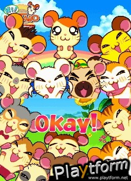 Hamtaro Ham-Ham Challenge (DS)