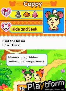 Hamtaro Ham-Ham Challenge (DS)