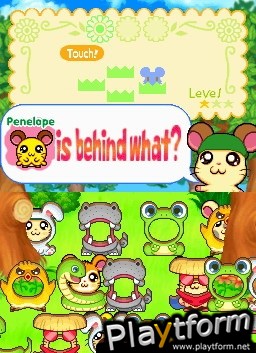 Hamtaro Ham-Ham Challenge (DS)