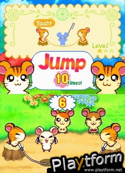 Hamtaro Ham-Ham Challenge (DS)