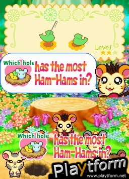 Hamtaro Ham-Ham Challenge (DS)