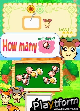 Hamtaro Ham-Ham Challenge (DS)