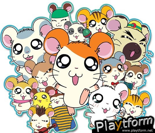 Hamtaro Ham-Ham Challenge (DS)