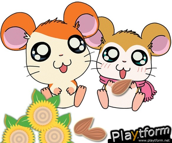 Hamtaro Ham-Ham Challenge (DS)