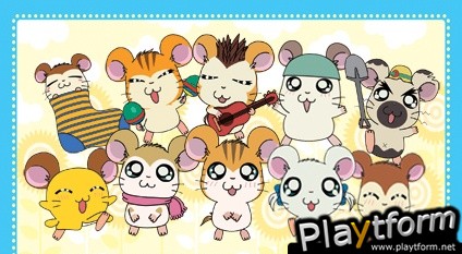 Hamtaro Ham-Ham Challenge (DS)