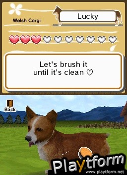 Animal Paradise (DS)