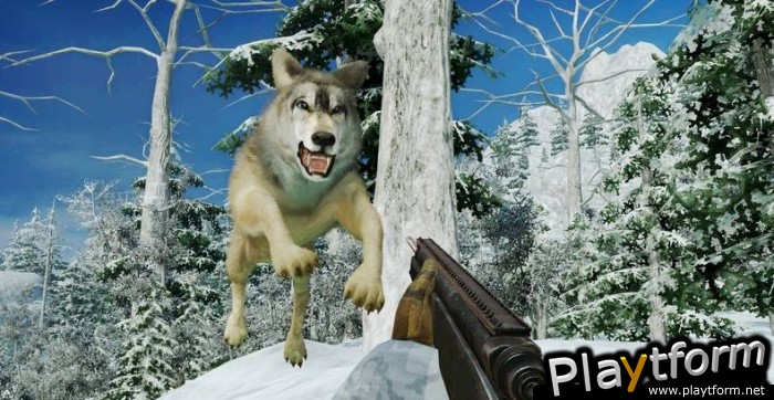 Cabela's Dangerous Hunts 2009 (Xbox 360)