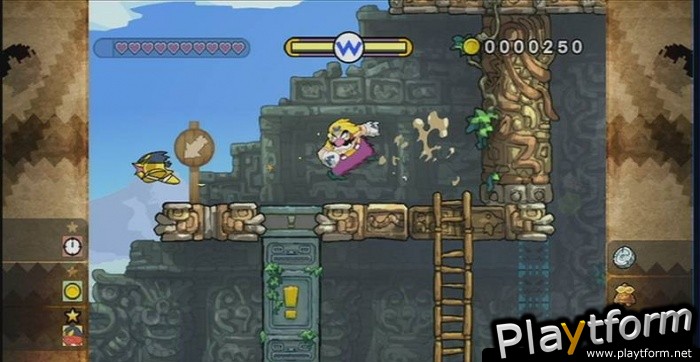 Wario Land: Shake It! (Wii)