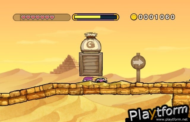 Wario Land: Shake It! (Wii)