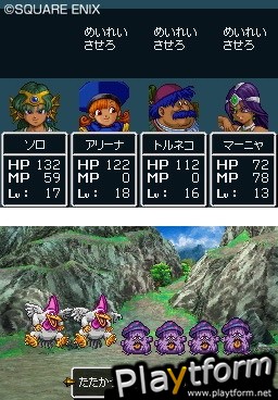 Dragon Quest IV: Chapters of the Chosen (DS)