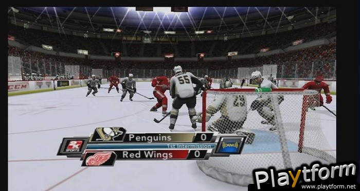 NHL 2K9 (Wii)