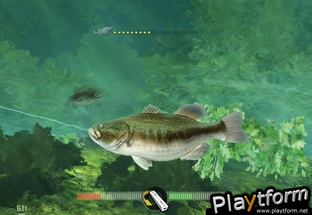 Rapala's Fishing Frenzy (Wii)