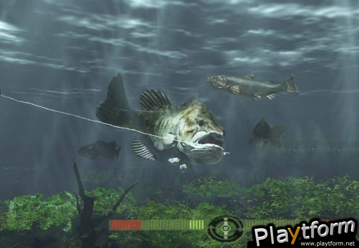 Rapala Fishing Frenzy 2009 (PlayStation 3)