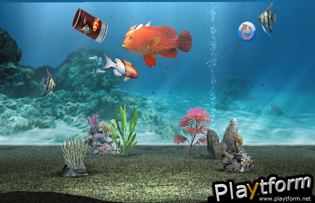 My Aquarium (Wii)