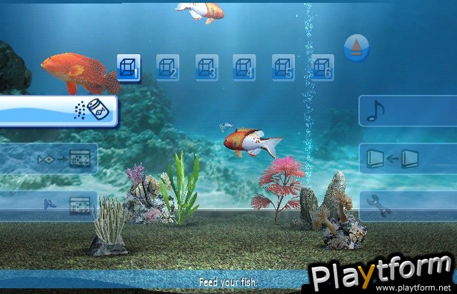 My Aquarium (Wii)