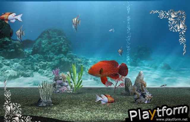 My Aquarium (Wii)