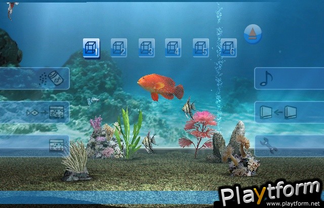 My Aquarium (Wii)