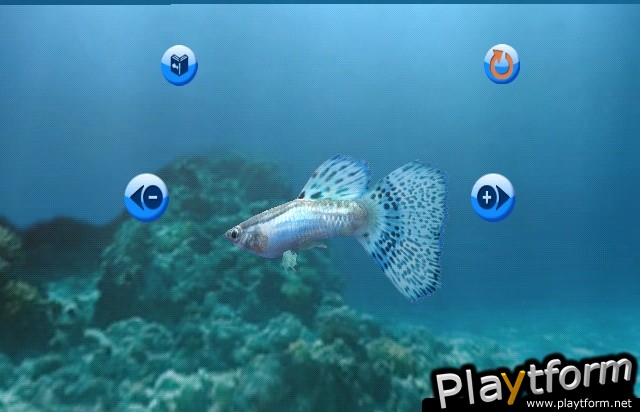 My Aquarium (Wii)