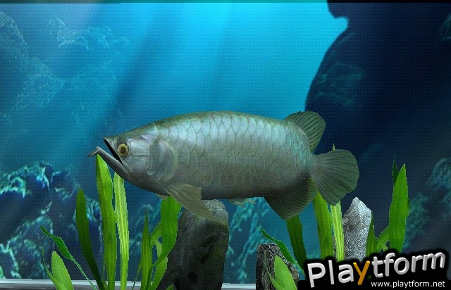 My Aquarium (Wii)