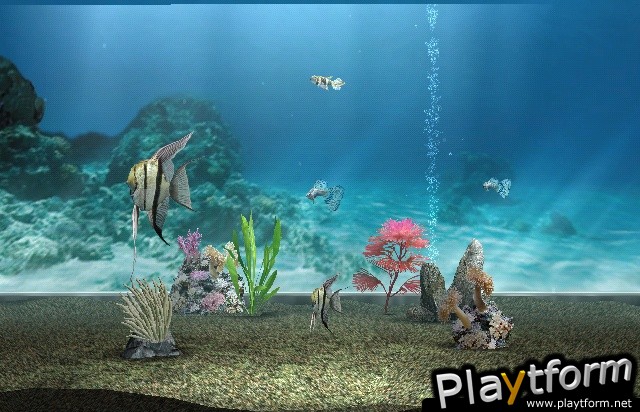 My Aquarium (Wii)