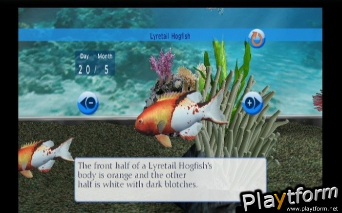 My Aquarium (Wii)