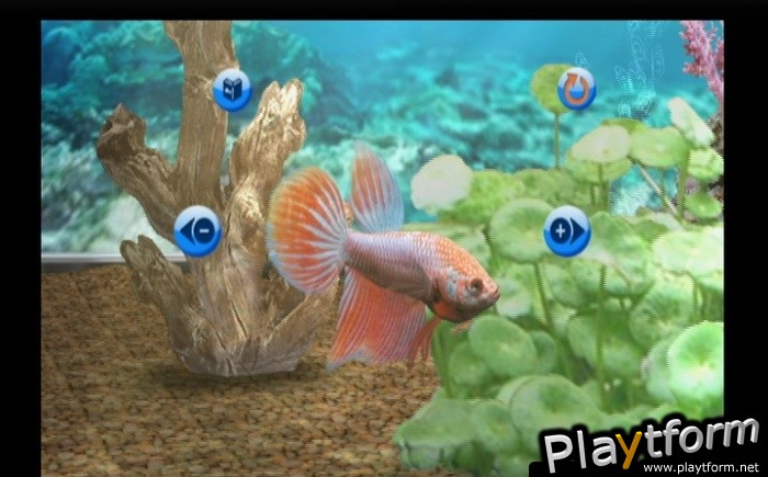 My Aquarium (Wii)