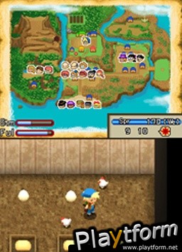 Harvest Moon DS: Island of Happiness (DS)