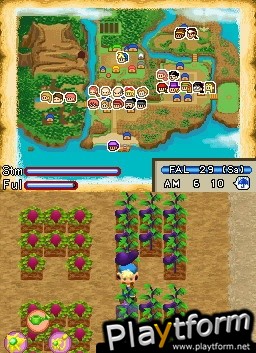 Harvest Moon DS: Island of Happiness (DS)