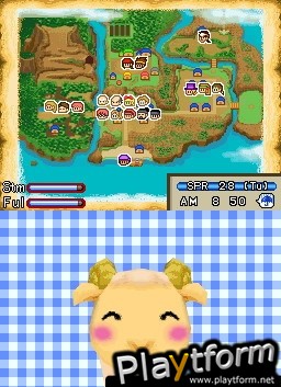 Harvest Moon DS: Island of Happiness (DS)