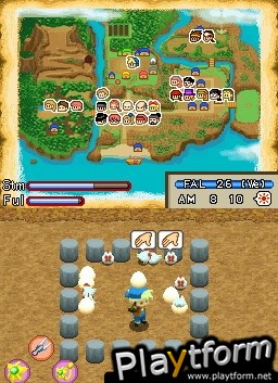 Harvest Moon DS: Island of Happiness (DS)