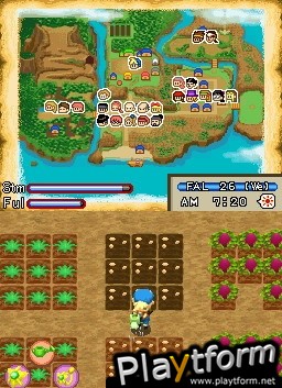 Harvest Moon DS: Island of Happiness (DS)