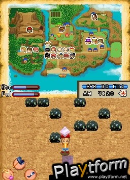 Harvest Moon DS: Island of Happiness (DS)