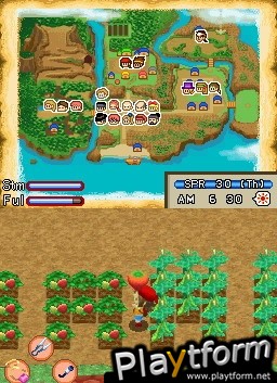 Harvest Moon DS: Island of Happiness (DS)