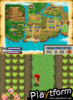 Harvest Moon DS: Island of Happiness (DS)